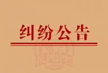 股东纠纷公告_新丹彩艺术文化有限公司-陕西登报中心029-85338456